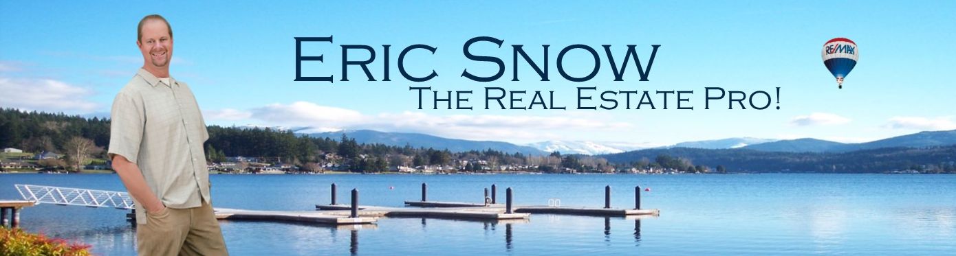 Eric Snow Custom Image