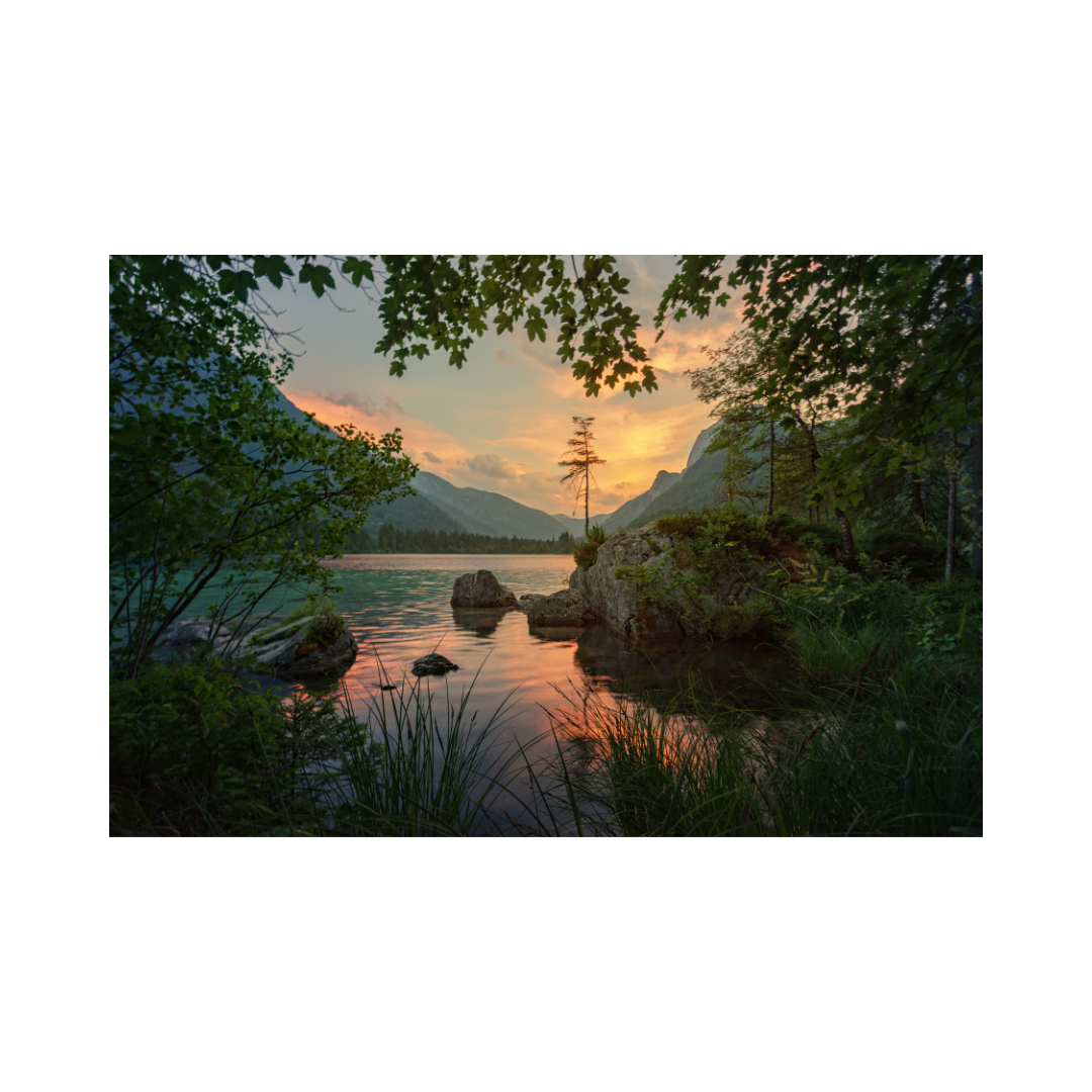 Dawn Price Custom Image