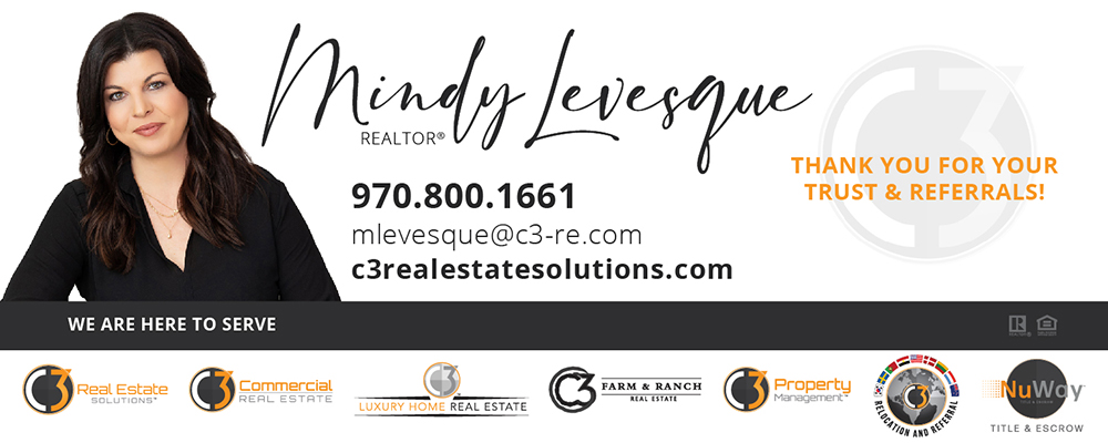 Mindy Levesque Custom Image