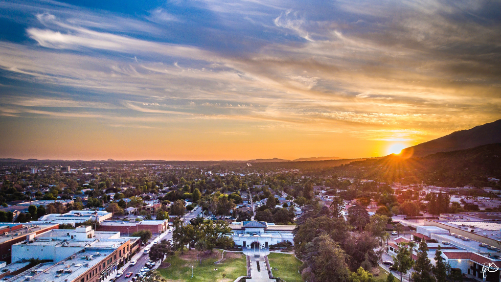 Carol Bush & Joanne Capitano Custom Image