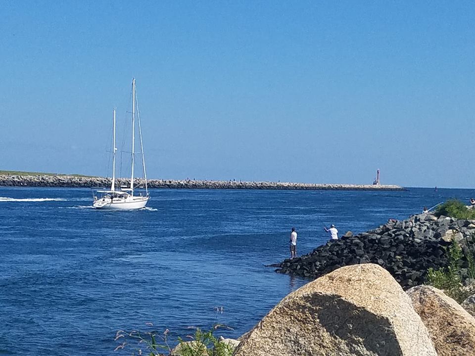 Tanya Chadwick Custom Image